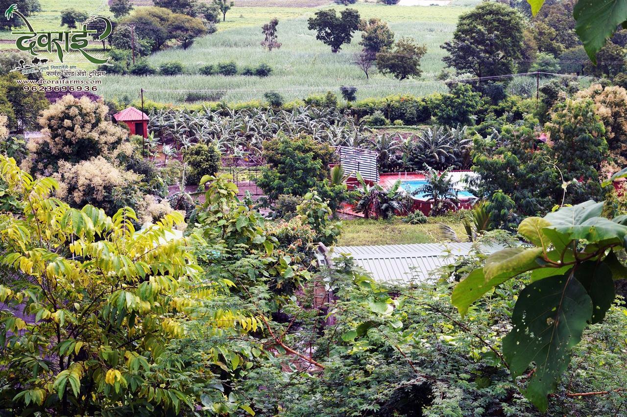Deorai Farms And Agro Resort Pune Bagian luar foto